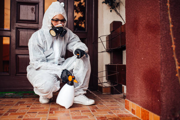 Attic and Crawl Space Rodent Treatment in Lake Wissota