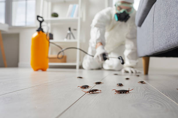 Commercial Rodent Management in Lake Wissota